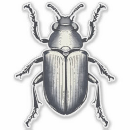 zwarte kever Sticker