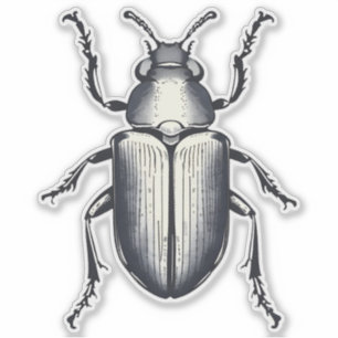 zwarte kever Sticker