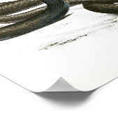  Zwarte King Cobra Art Poster (Hoek)