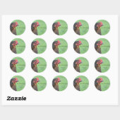 Zwarte kip boekenplaat sticker (Vel)