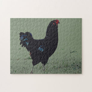 Zwarte kip in de Grass Art Puzzel