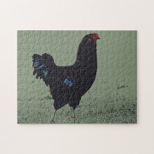 Zwarte kip in de Grass Art Puzzel Legpuzzel (Horizontaal)