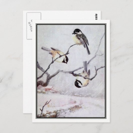  zwarte kippen - R. Bruce Horsfall Briefkaart (Voorkant / Achterkant)