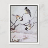  zwarte kippen - R. Bruce Horsfall Briefkaart (Voorkant)