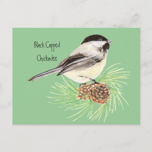 Zwarte kippen - Vogel - Natuur Briefkaart (Voorkant)