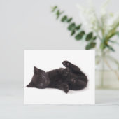 zwarte kitten briefkaart (Staand voorkant)