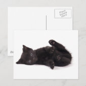 zwarte kitten briefkaart (Voorkant / Achterkant)