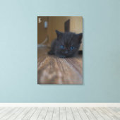 Zwarte Kitten Canvas Afdruk (Insitu (Houten vloer))