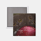 ZWARTE KITTEN CATS - VAKANTIEMONNETJE MAGNEET (Voorkant / Achterkant)