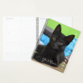 Zwarte Kitten - Dagelijkse Planner- HAMbWG Planner (Display)