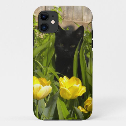 Zwarte kitten, gele tulpen. iPhone 5 hoesje (Achterkant)