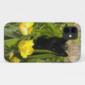 Zwarte kitten, gele tulpen. iPhone 5 hoesje (Achterkant (horizontaal))