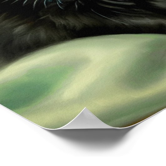  zwarte Kitten-illustratie Poster (Hoek)