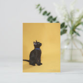 Zwarte kitten in kraag briefkaart (Staand voorkant)