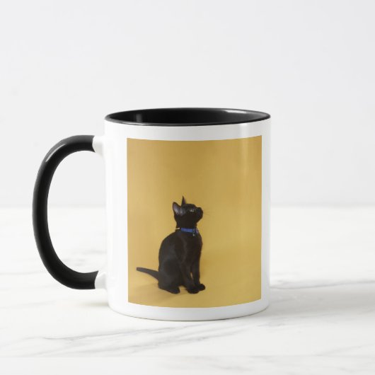 Zwarte kitten in kraag mok (Links)