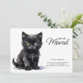 Zwarte kitten kat verhuizen Nieuwe woning We zijn  Aankondiging (Staand voorkant)