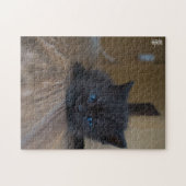 Zwarte Kitten Legpuzzel (Horizontaal)