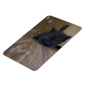 Zwarte Kitten Magneet (Linkerzijde)