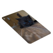 Zwarte Kitten Magneet (Rechterzijde)