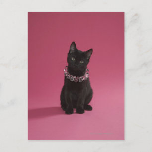 Zwarte kitten met juwelen ketting briefkaart