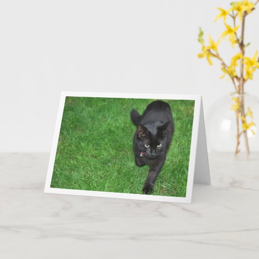 Zwarte kitten op gras kaart (Gele Bloem)