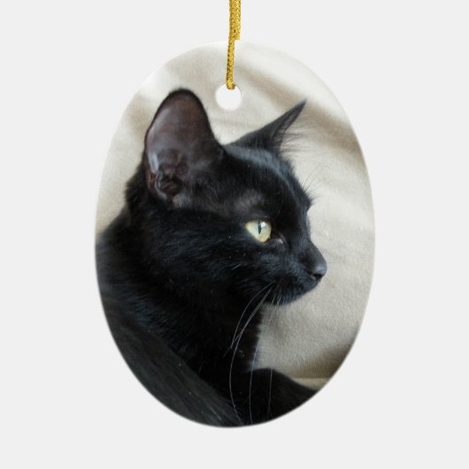 Zwarte kitten ornament (Voorkant)