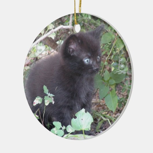 Zwarte kitten ornament (Links)