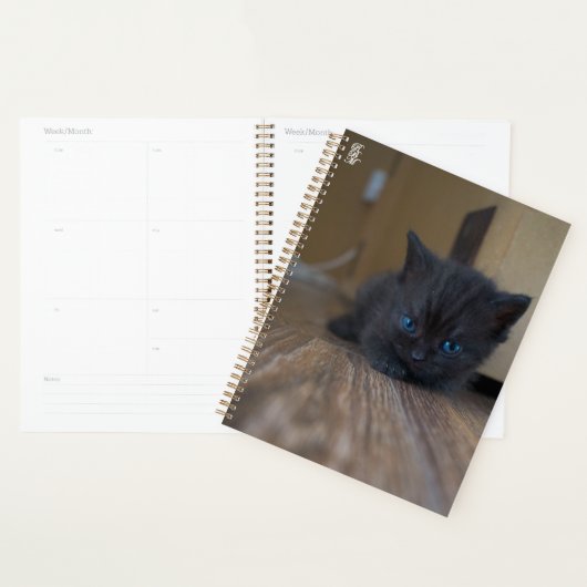Zwarte Kitten Planner (Display)