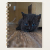 Zwarte Kitten Planner (Voorkant)
