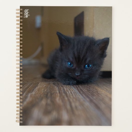 Zwarte Kitten Planner (Voorkant)