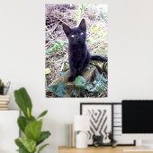 Zwarte Kitten Poster (Thuiskantoor)