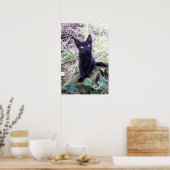 Zwarte Kitten Poster (Keuken)