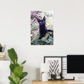Zwarte Kitten Poster (Thuiskantoor)