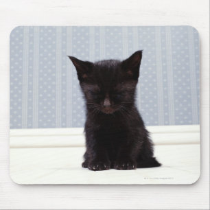 ZWARTE KITTEN SLAPEN MUISMAT