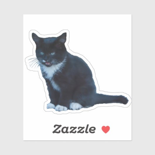 Zwarte kitten Tuxedo zittend mauwen Sticker (Vel)