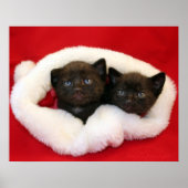 Zwarte kittens in het pet van Santa Poster (Voorkant)