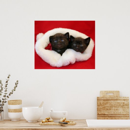 Zwarte kittens in het pet van Santa Poster (Keuken)