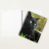 Zwarte Kitty - Dagelijkse Planner- HAMbWG Planner (Display)