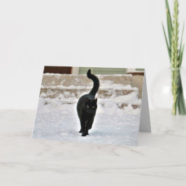 Zwarte Kitty Kat Kattige Aanpasbare Kaart