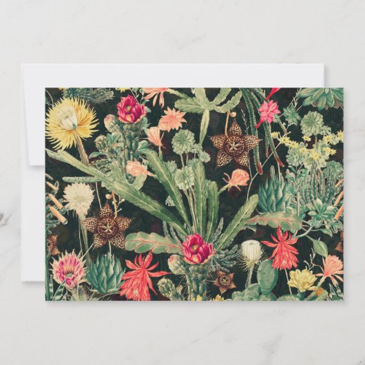 Zwarte  kleurrijke cactus kaart (Achterkant)