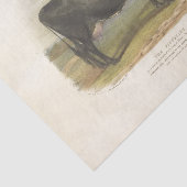 Zwarte Koe Ephemera Decoupage Boerderij Tissuepapier (Detail)