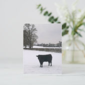 Zwarte Koe in sneeuwBriefkaart Briefkaart (Staand voorkant)