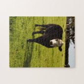 Zwarte Koe met wit gezicht, Legpuzzel (Horizontaal)