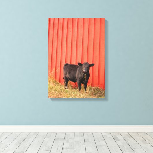 Zwarte Koe Rode Barn Canvas Afdruk (Insitu (Houten vloer))