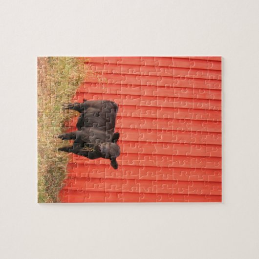 Zwarte Koe Rode Barn Legpuzzel (Horizontaal)