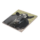 Zwarte Koe Tegeltje (Zijkant)