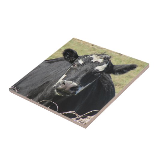 Zwarte Koe Tegeltje (Zijkant)