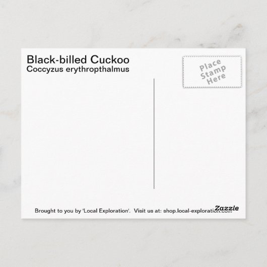 Zwarte koekoek briefkaart (Achterkant)