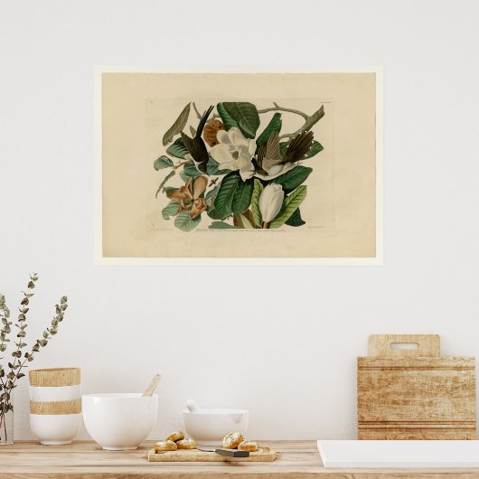 Zwarte koekoek poster (Keuken)