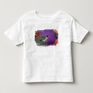 Zwarte kolibrie, Archilochus alexandri, Kinder Shirts